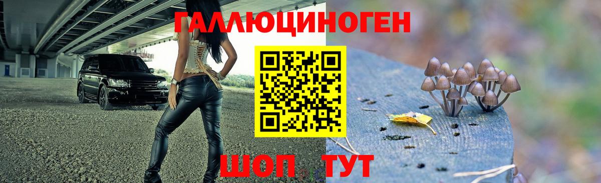 Сарапул  Галлюциногенные грибы мицелий  Вход с VPN 