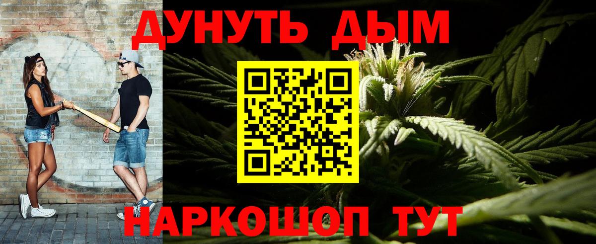Конопля сатива  Канабис тримм  Сарапул  Вход с VPN 